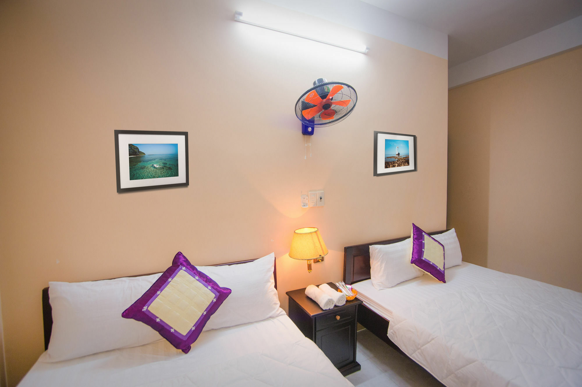 Oyo 117 Gina Hotel 岘港 外观 照片